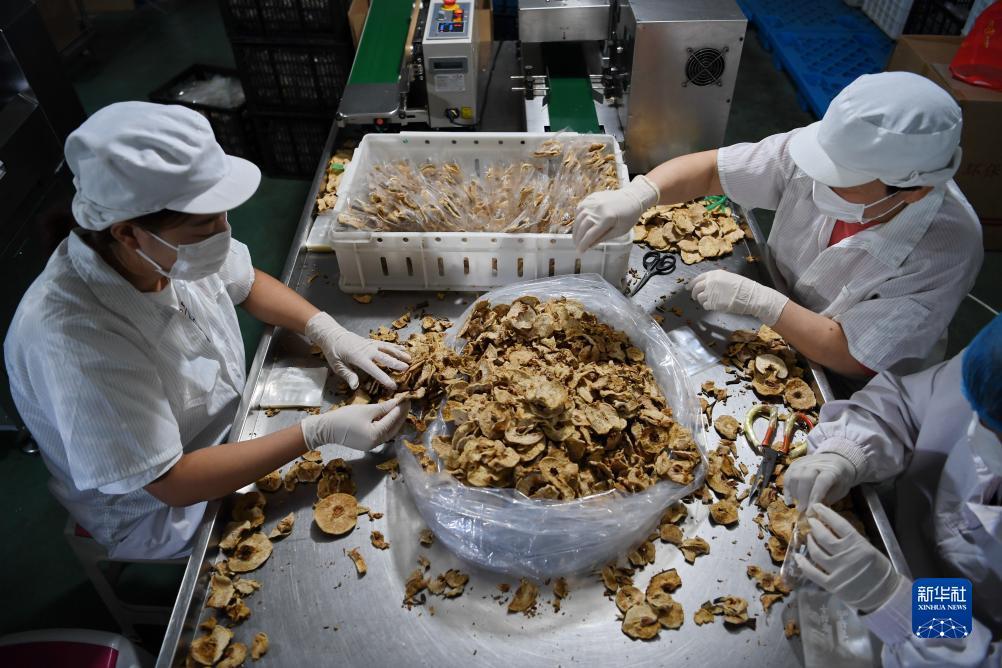 免费白菜网站大全